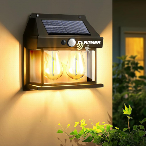 Solar LED Wall Light