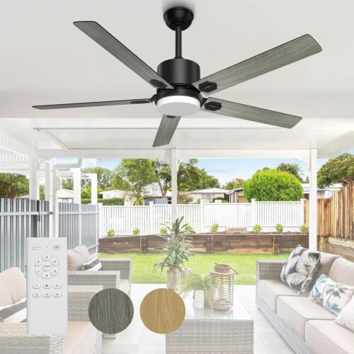 Ceiling Fans & Accessories